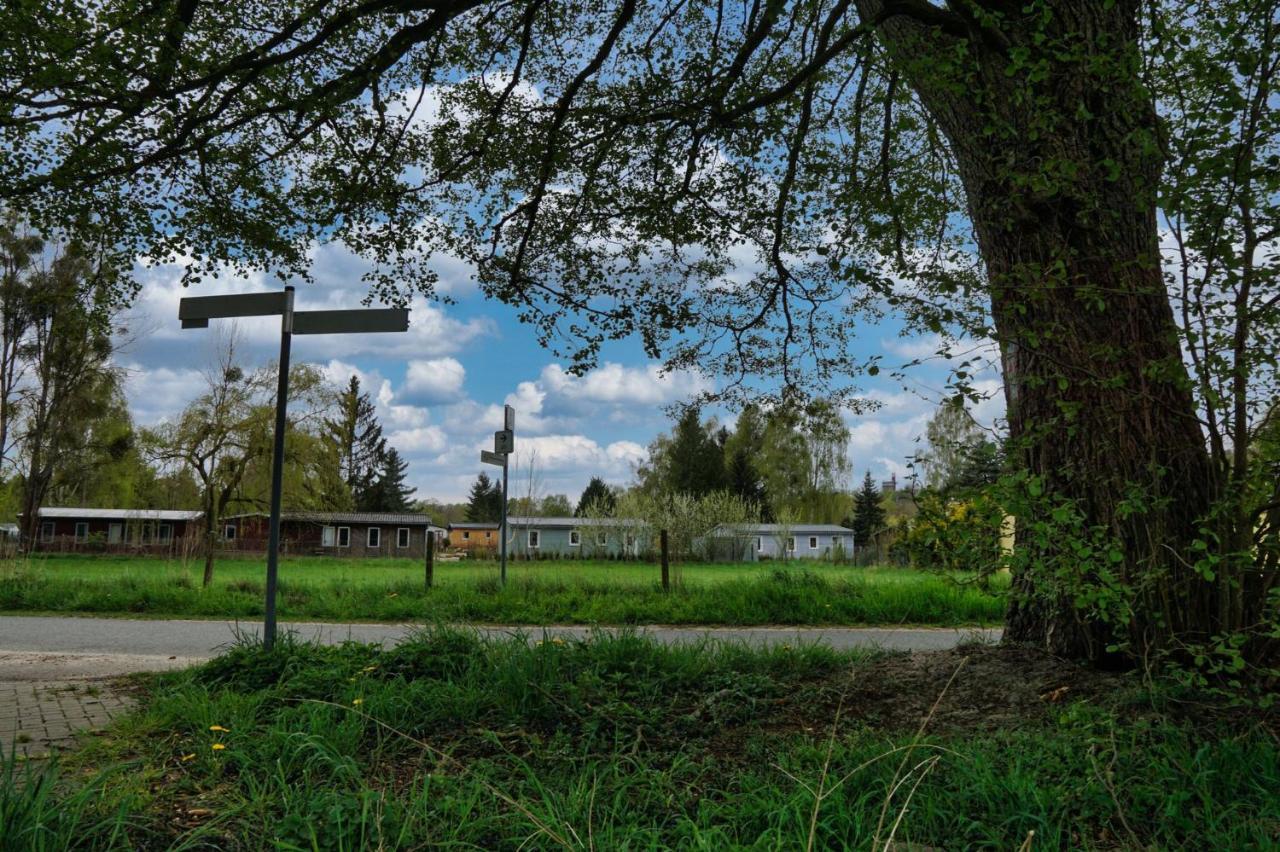 gemütliches Ferienhaus Schorfheide am See I Strand fussläufig I Terrasse I 2 SZ Joachimsthal Exterior foto
